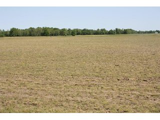 Property photo 4 - LAND AUCTION - 389.5+/- ACRES IN 11 TRACTS IN SULLIVAN COUNTY, INDIANA